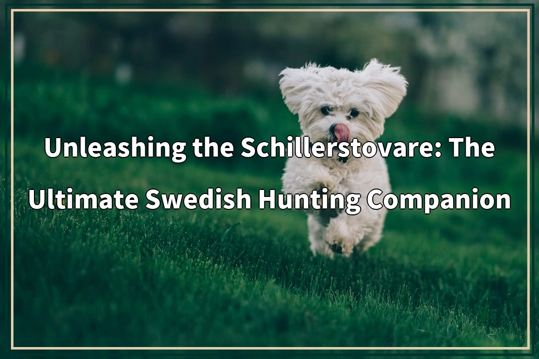 Unleashing the Schillerstovare: The Ultimate Swedish Hunting Companion