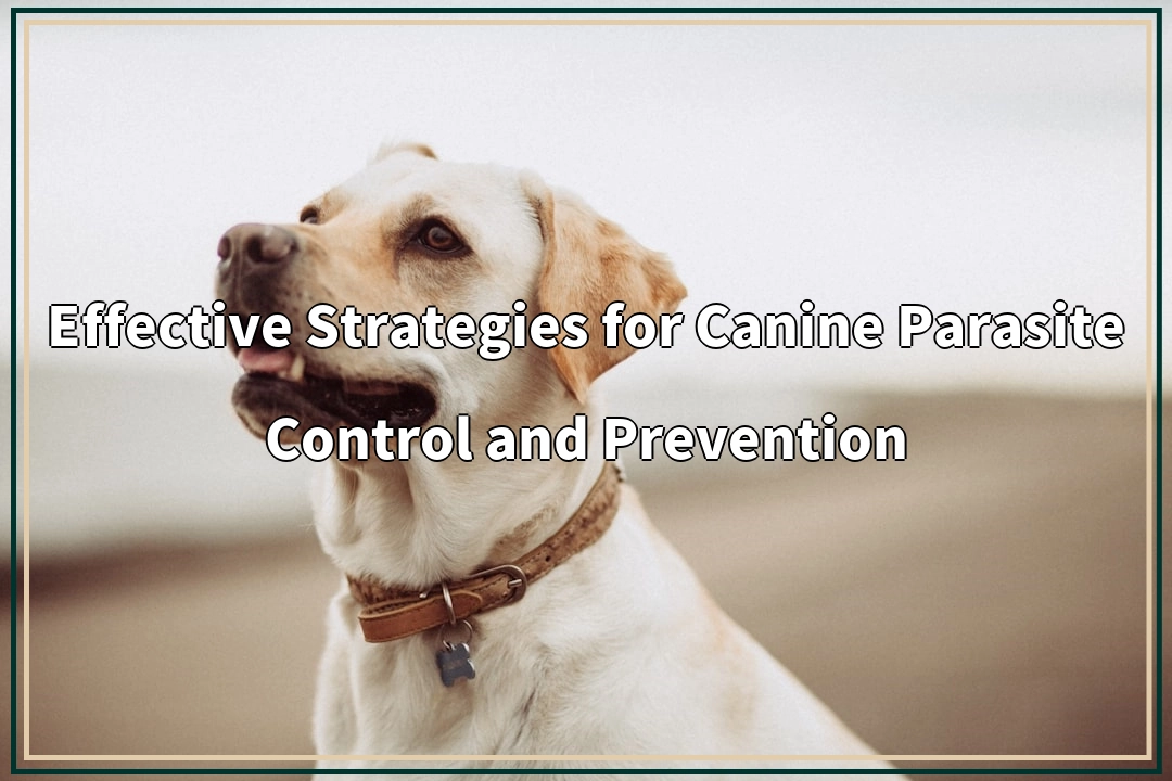 Effective Strategies for Canine Parasite Control and Prevention