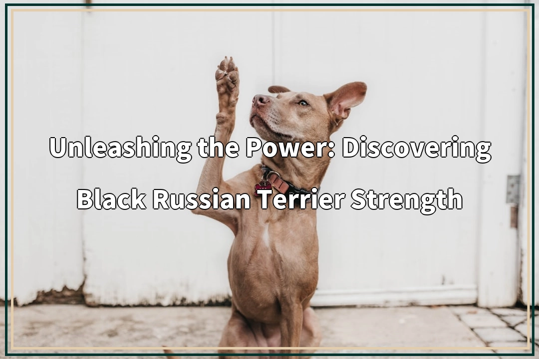 Unleashing the Power: Discovering Black Russian Terrier Strength