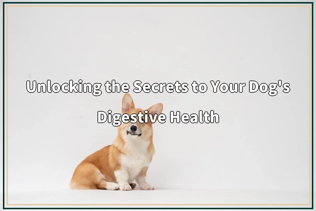 Unlocking the Secrets to Your Dog’s Digestive Health