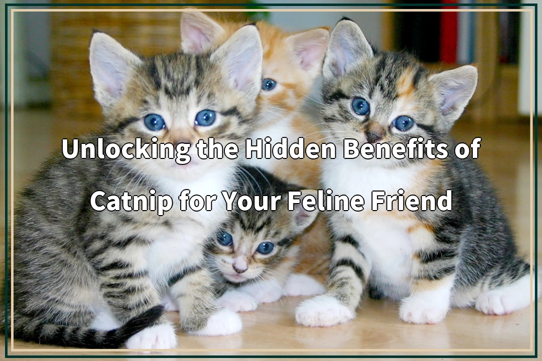 Unlocking the Hidden Benefits of Catnip for Your Feline Friend