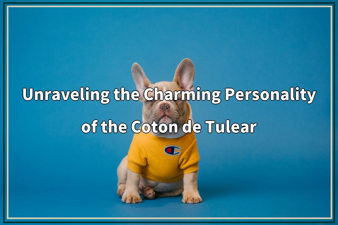 Unraveling the Charming Personality of the Coton de Tulear