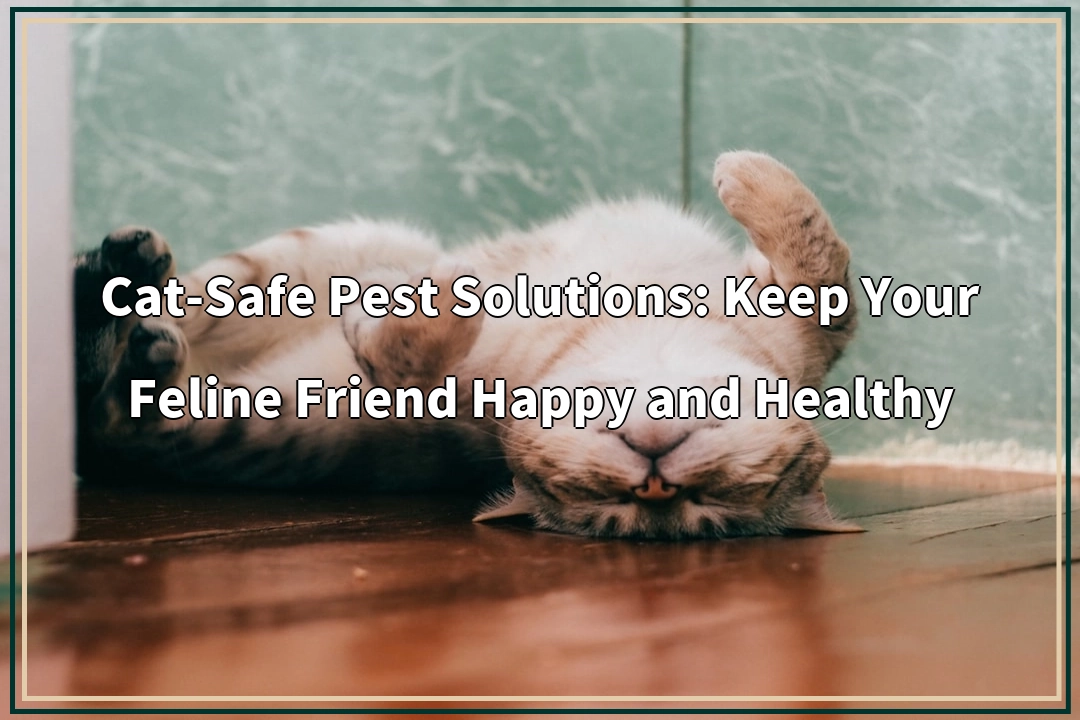 Cat-Safe Pest Solutions: Keep Your Feline Friend Happy and Healthy