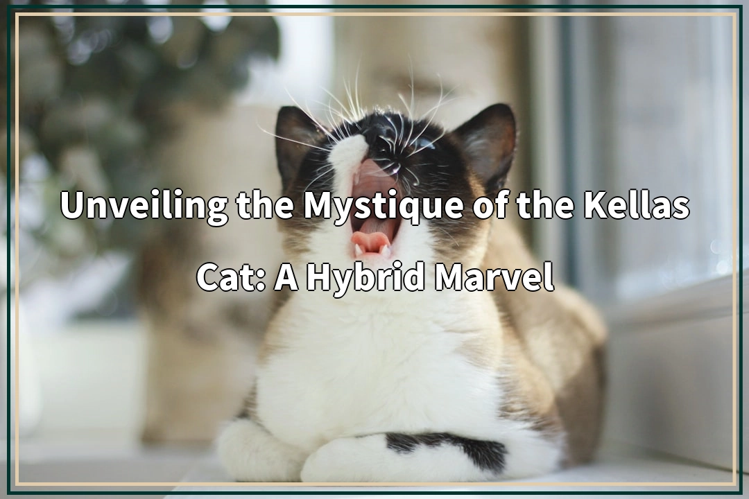 Unveiling the Mystique of the Kellas Cat: A Hybrid Marvel