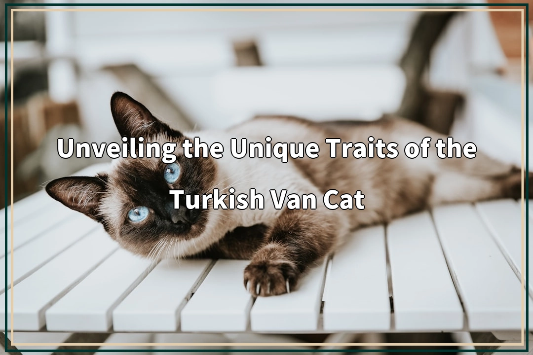 Unveiling the Unique Traits of the Turkish Van Cat