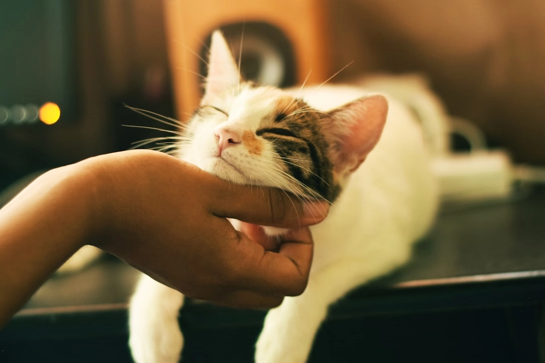 Mastering Cat Litter Tracking: Tips for Happy Homes